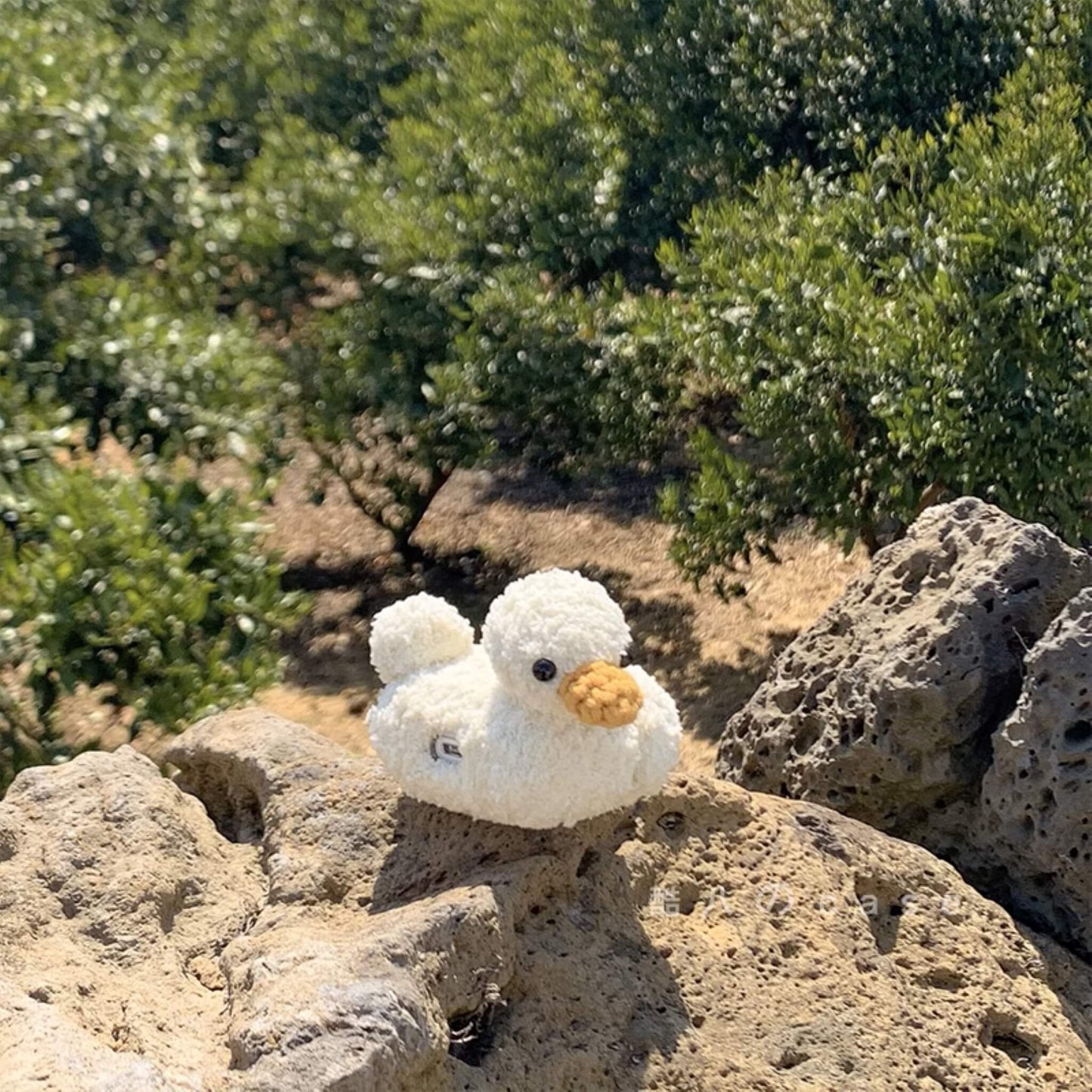 AirPods Case | Fluffy Duckling ed.